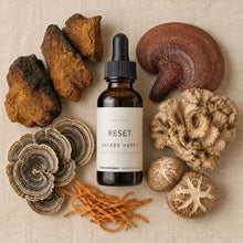 Sacred Herbs - RESET