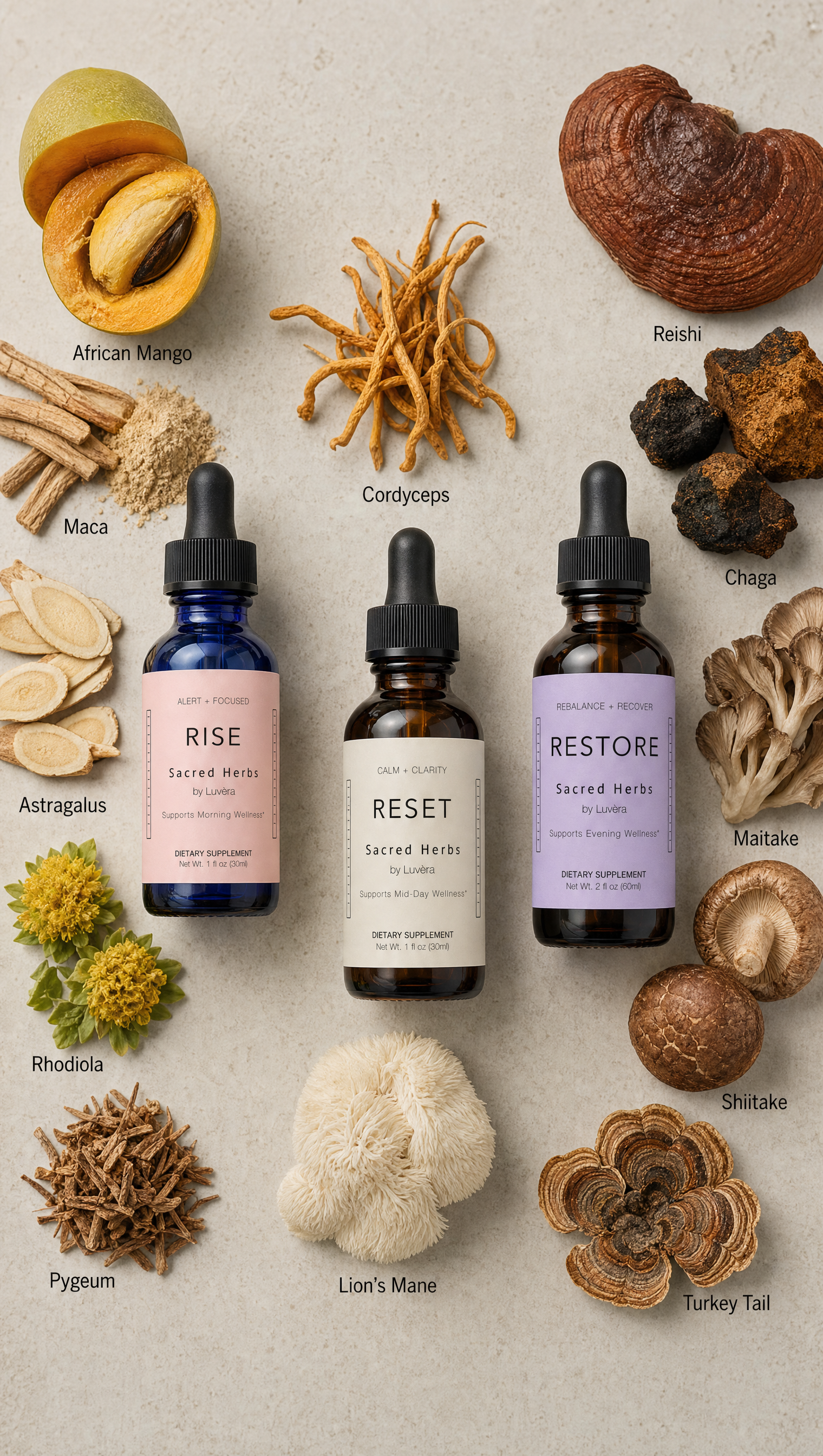 RISE, RESET, and RESTORE bottles surrounded by labeled botanicals, amino acid support ingredients, and functional mushrooms
